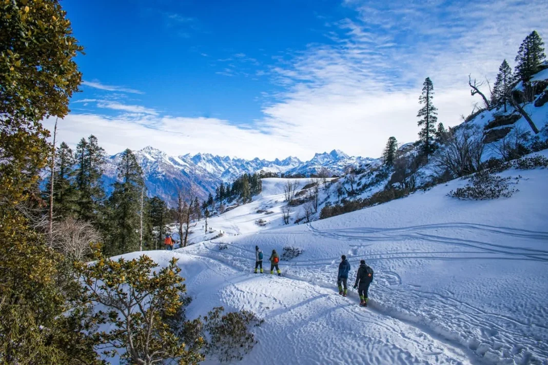 Best DMC in Himachal in India Best DMC in Himachal in India