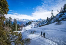 Best DMC in Himachal in India for Seamless Travel Planning Best DMC in Himachal in India
